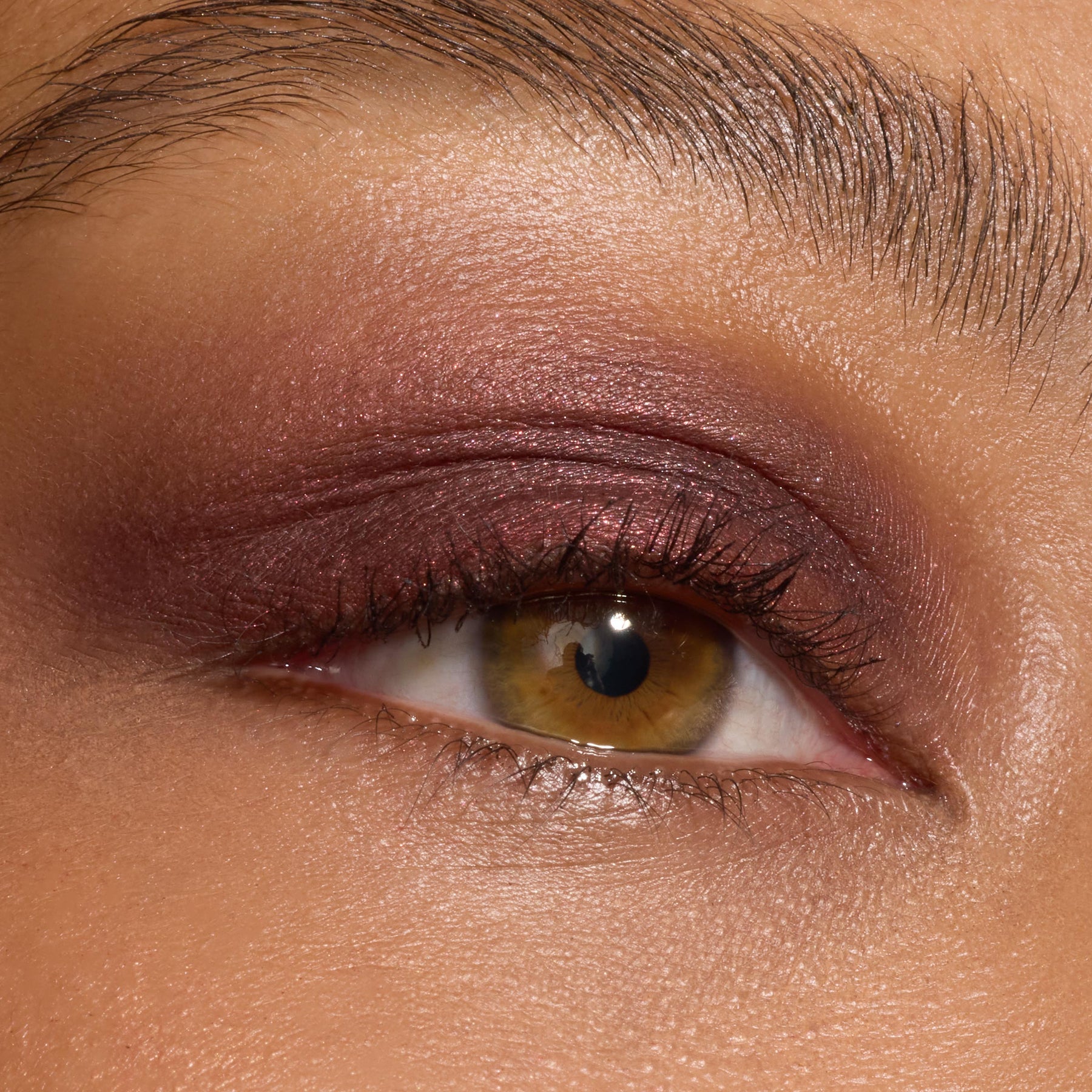 The Volturi | Colour Edit