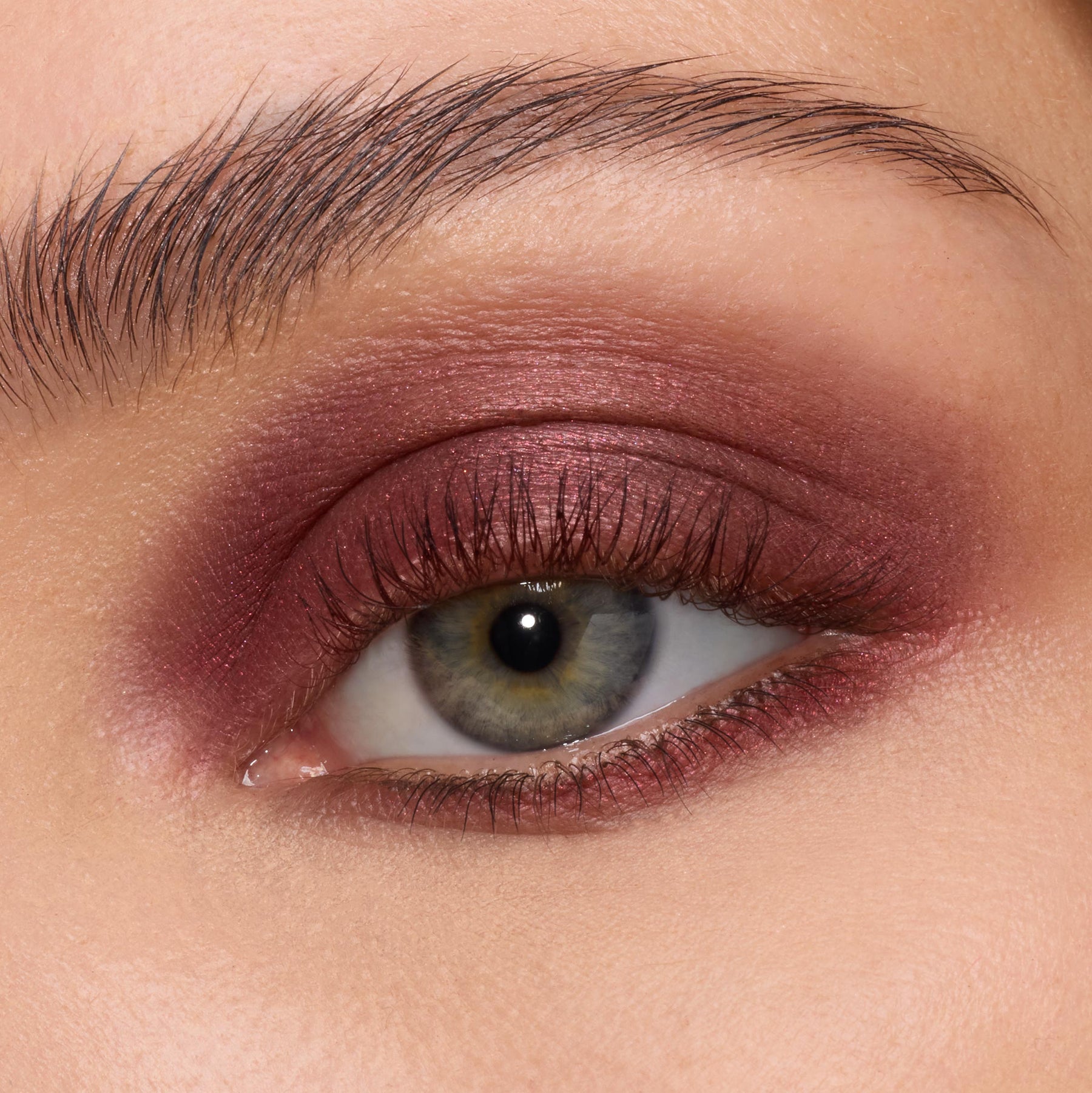 The Volturi | Colour Edit